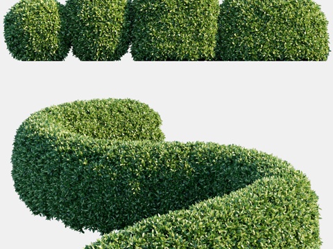  汽车绿篱系列 #33d模型 