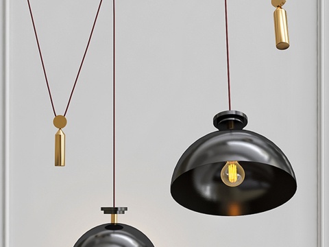  造型吊灯 Shape up 半球形黑色款3d模型 