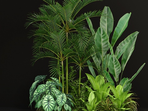  植物集锦 1983d模型 