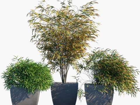  盆栽植物 #43 棕榈与草3d模型 