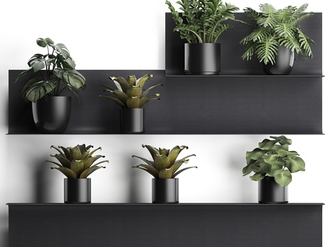  黑色金属架上的小型植物组合3d模型 