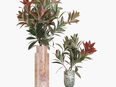  花瓶中的枝条 #173d模型 