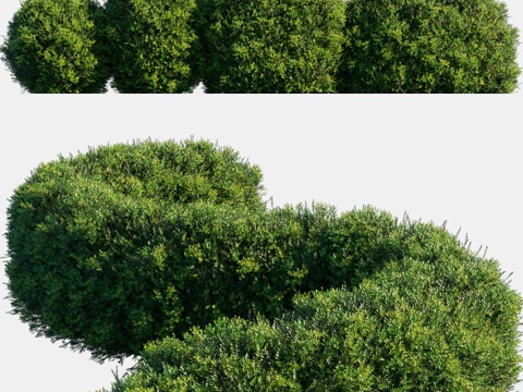  自动绿篱系列 #43d模型 