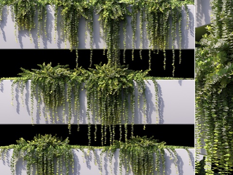  匍匐荨麻3d模型 