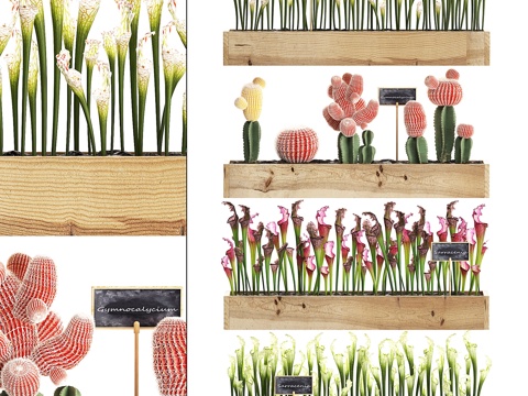  垂直园艺木质墙面箱盆栽3d模型 