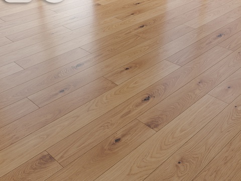  卡尔斯橡木新艺术白拼花地板3d模型 