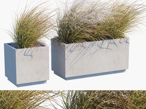  盆栽植物 #27 风吹3d模型 