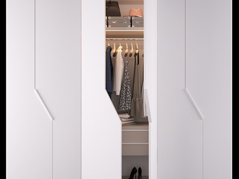  斜线衣柜3d模型 