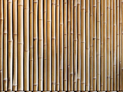  竹墙无缝装饰3d模型 