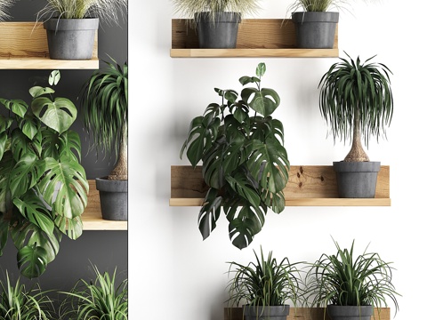  小型植物木质花架系列3d模型 