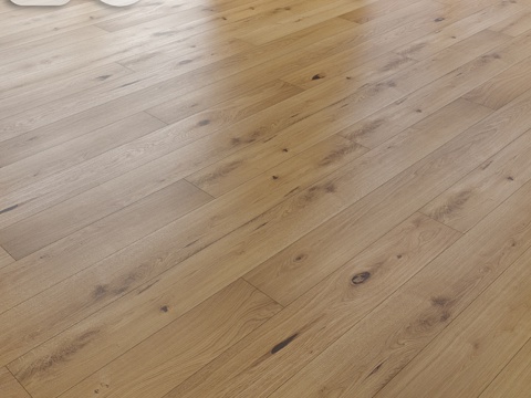  Scheucher Ibiza 拼花板3d模型 