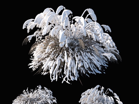  芒草冬景3d模型 