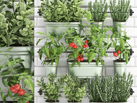  厨房菜园盆栽蔬菜植物组合3d模型 