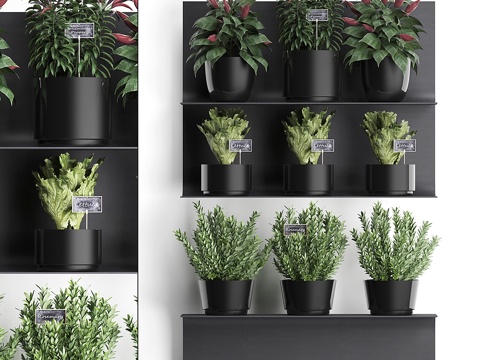  垂直花园厨房菜园3d模型 