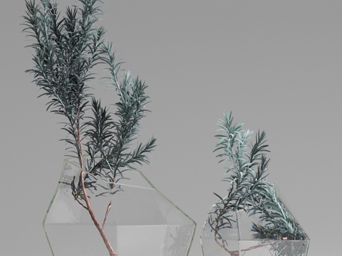  花瓶中的枝条3d模型 