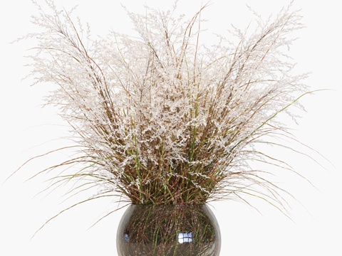  花瓶中的枝条 #73d模型 