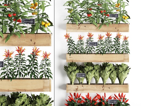  垂直园艺木质墙面箱盆栽3d模型 