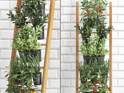  厨房菜园蔬菜园植物组合3d模型 