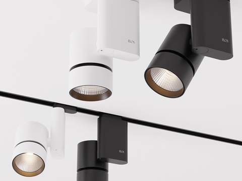  Flos纯粹固态灯具3d模型 