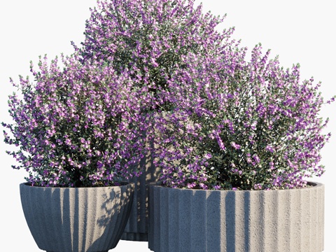  盆栽植物 #293d模型 