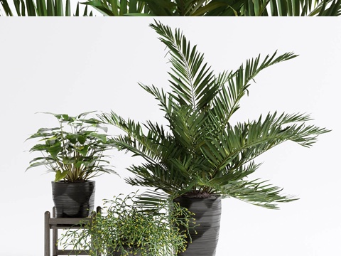  绿色套装23d模型 