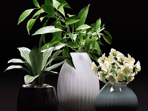  花瓶插花 花瓶3d模型 