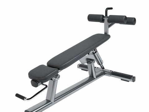  Life Fitness Signature系列可调式腹肌训3d模型 