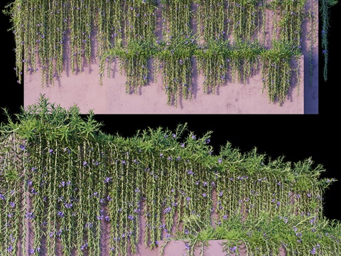  迷迭香 迷迭香 #3（14款）3d模型 