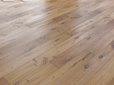  Parquet Fetim Basics (1193925)3d模型 