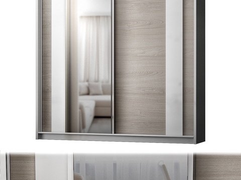  现代2门推拉衣柜Hokku设计彩色款3d模型 