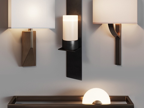  霍利·亨特壁灯套装63d模型 