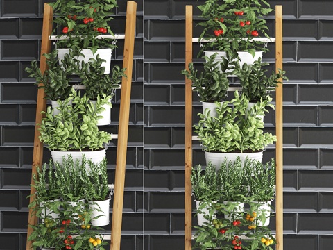  厨房菜园蔬菜园植物组合3d模型 