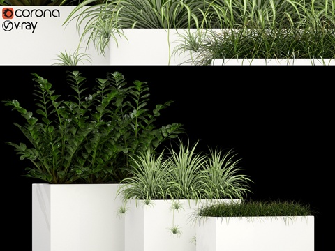  植物集锦 1863d模型 