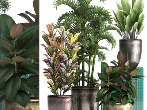  植物系列353. 奢华款，盆栽，花盆，室内3d模型 