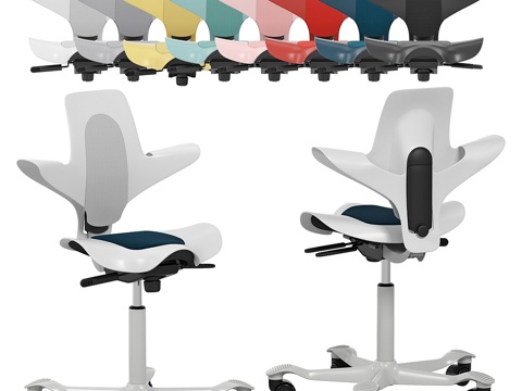  HAG Capisco Puls 80103d模型 