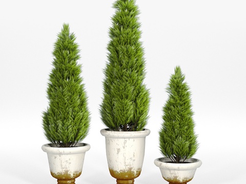  托斯卡纳花盆3d模型 