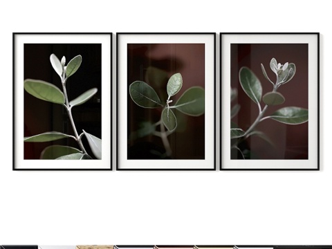  海报套装 小叶子3d模型 