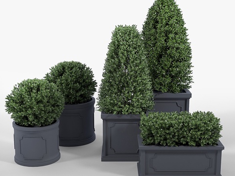  伯明翰花盆系列3d模型 