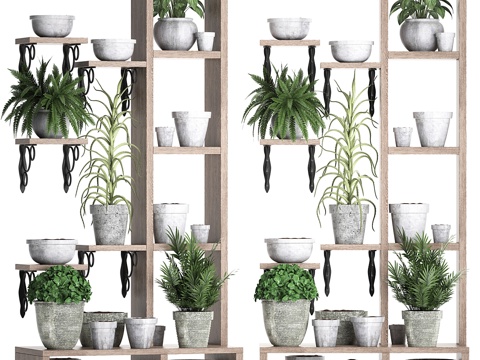  植物集锦365. 绿植架，芦荟，花卉3d模型 