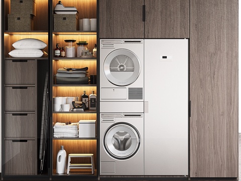  洗衣套装（Poliform定制+ASKO）3d模型 