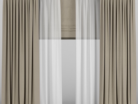  棕色纱帘配罗马帘3d模型 