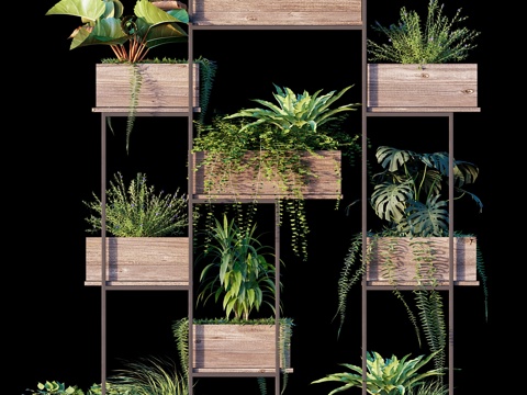  植物套装 #113d模型 