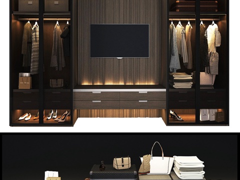  Poliform电视区定制衣帽间_13d模型 