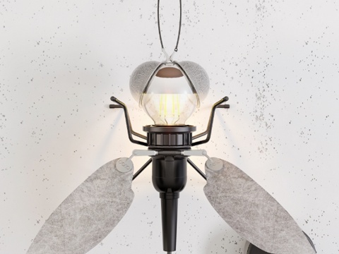  奥利戈·菲露小姐3d模型 