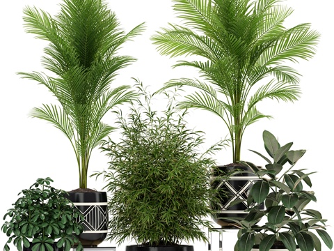  植物集锦 1813d模型 