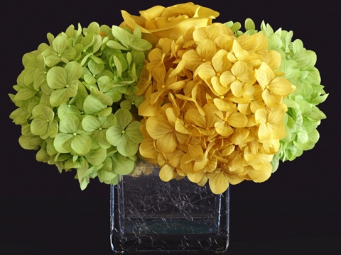  绣球与玫瑰花艺3d模型 