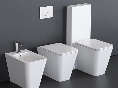  爱丽丝陶瓷隐藏式马桶3d模型 