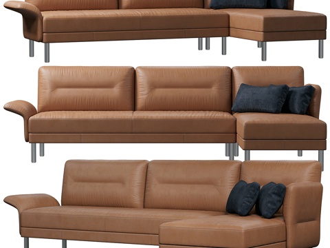  De Sede DS-8403d模型 