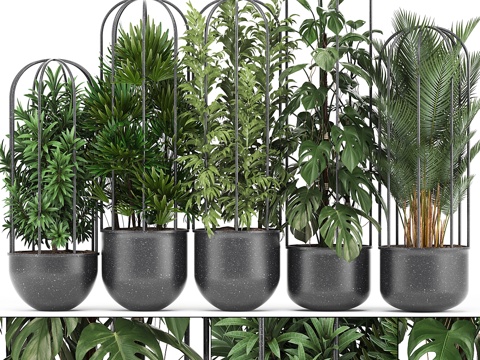  植物收藏 329. 黑色花盆，花盆，阁楼，3d模型 