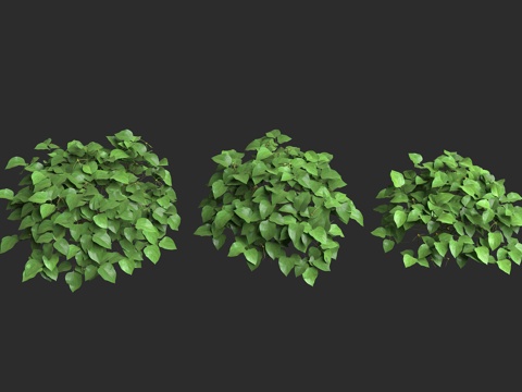  绿豆豇豆 灌木乔木 农作植物3d模型 